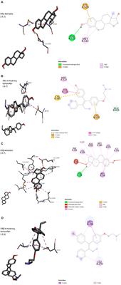 Insights Into the Role of Epigenetic Factors Determining the Estrogen Response in Estrogen-Positive Ovarian Cancer and Prospects of Combining Epi-Drugs With Endocrine Therapy